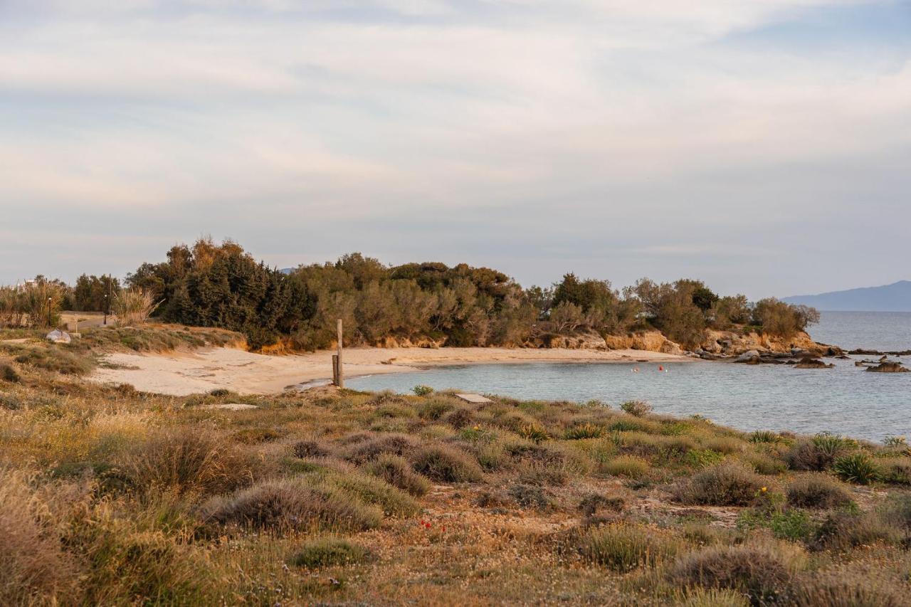 Villa Nausicaa Kastraki Naxos Naxos City Екстериор снимка